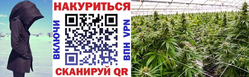 даркнет наркотические препараты  Кяхта  Бошки Шишки планчик 